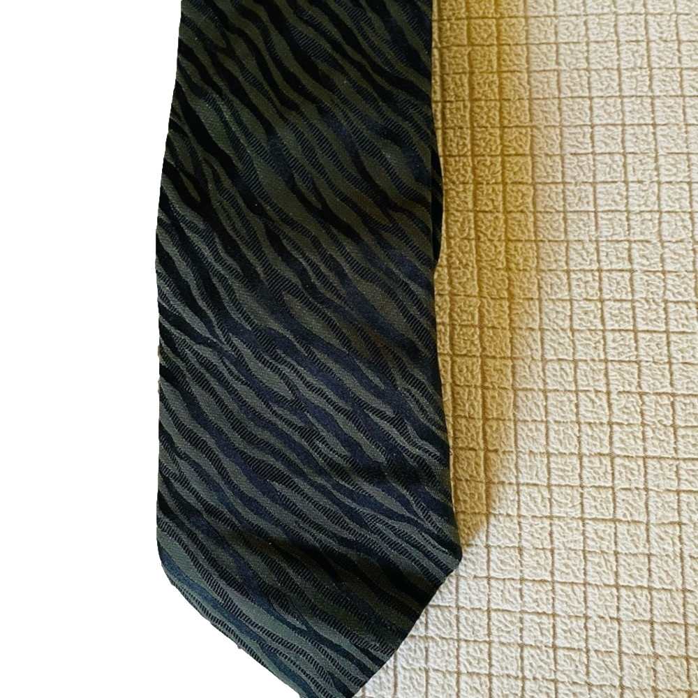 Express Silk Tie